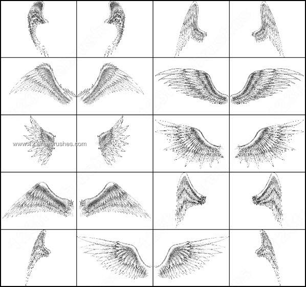 http://c3.123freebrushes.com/wp-content/uploads/big/birds/006_birds-wings-free-photoshop-brush.jpg