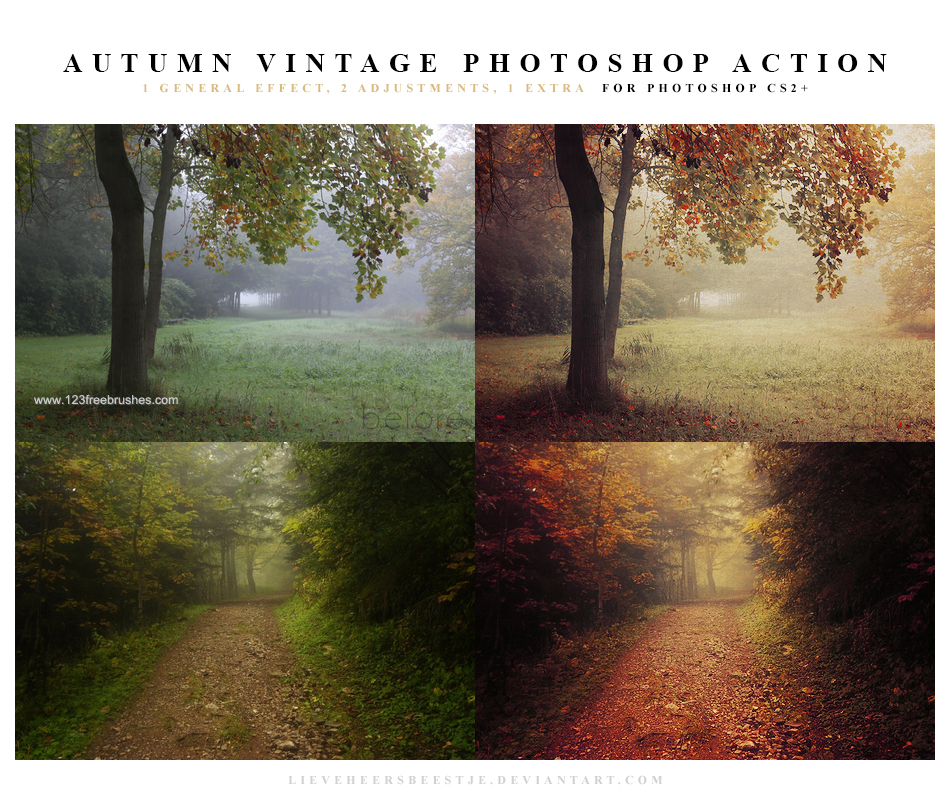Autumn Vintage Effect Photoshop Action