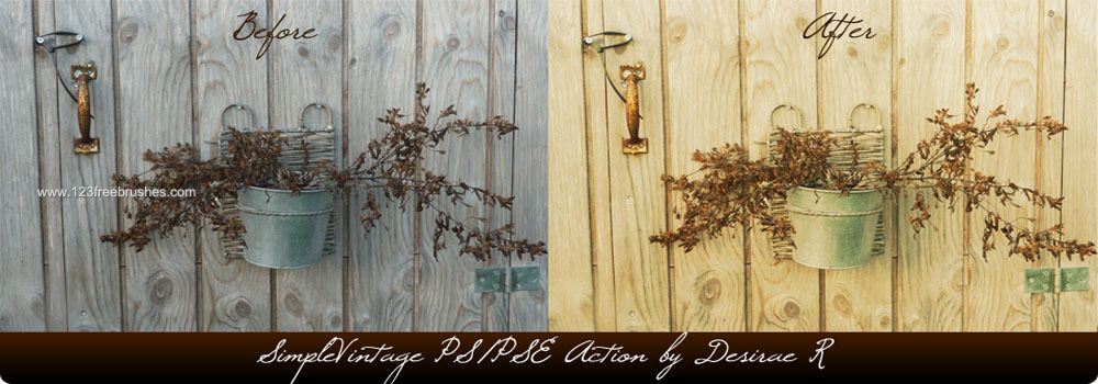 Simplevintage Pse And Ps Action