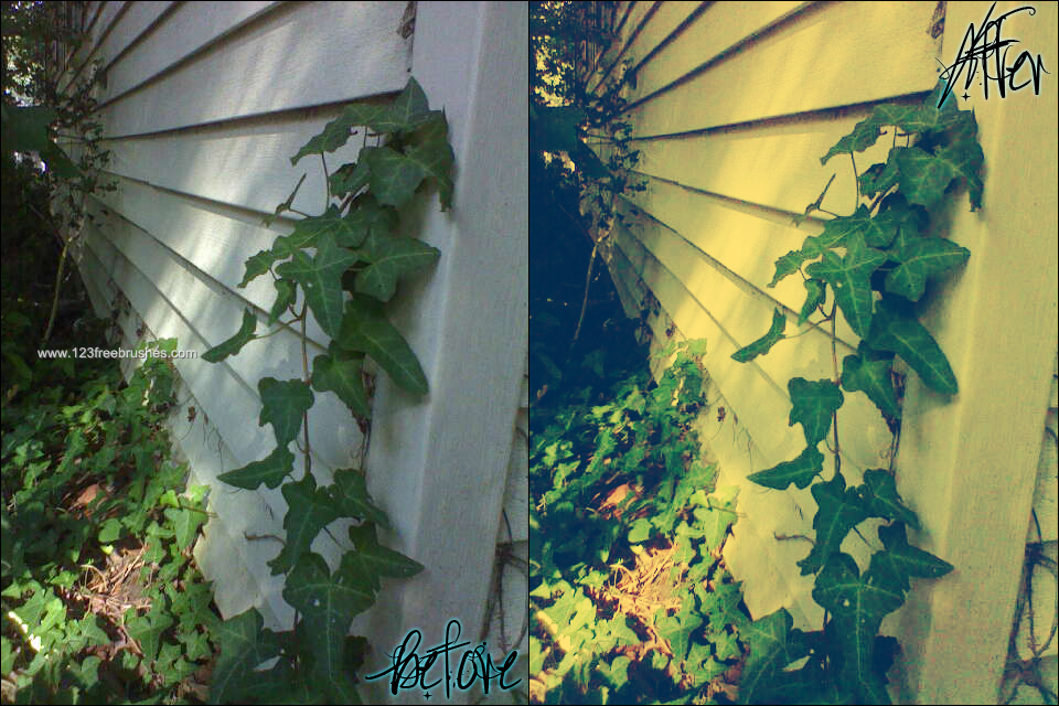 Vintage Effect Photoshop Action