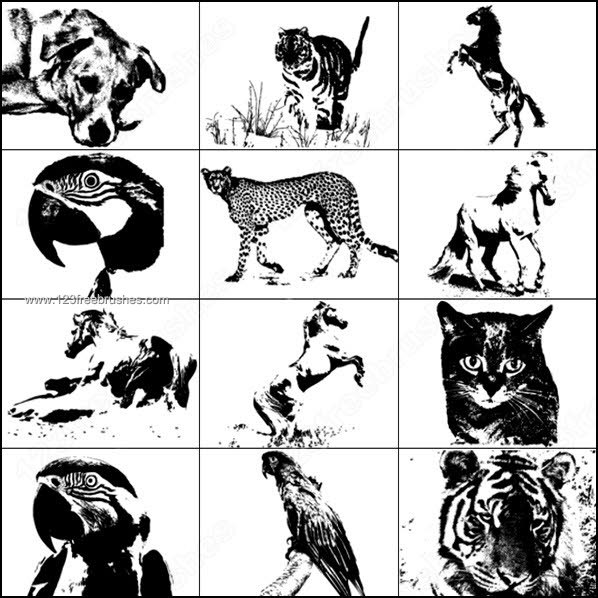 Photoshop Animal Brushes – Tiger – Dog – Cat – Horse