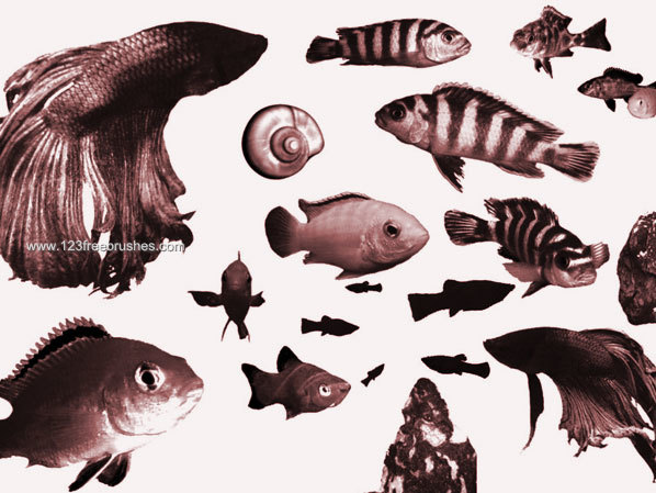 Free Photoshop Fish Silhouette Brushes