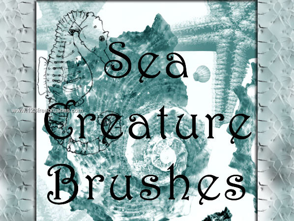 Aquatic Photoshop Brushes – Starfish – Octopus – Snail