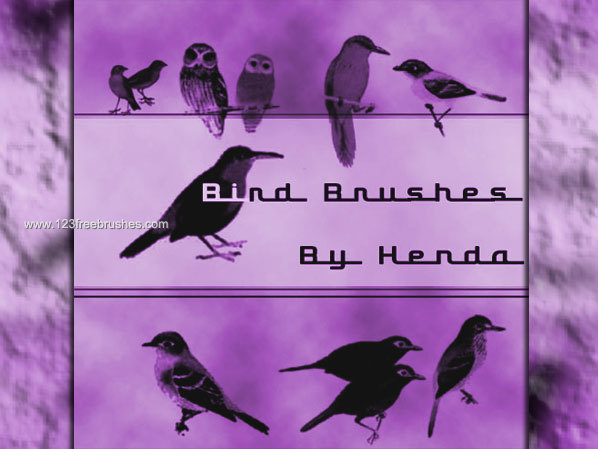 Free Bird brushes for Photoshop CS