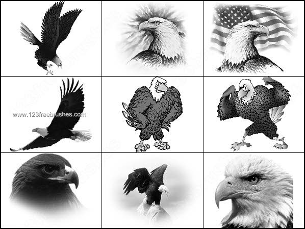 Eagle Free Photoshop Brushes