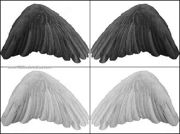 Black Angel Wings Photoshop Brushes