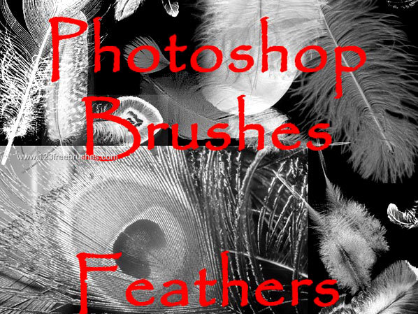 Free Photoshop Feather Brushes
