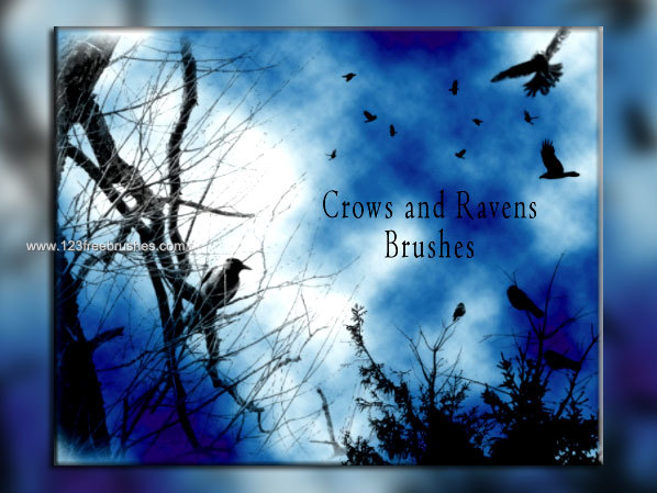 Crows and Ravens Brushes Free Download