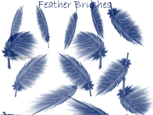 Feather Brushes Free Photoshop Brushes