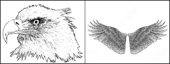 Hand Drawn Eagle – Wings Brushes Photoshop