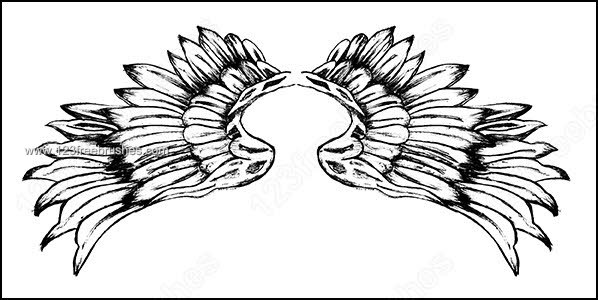 Hand Drawn Wings Photoshop Brushes