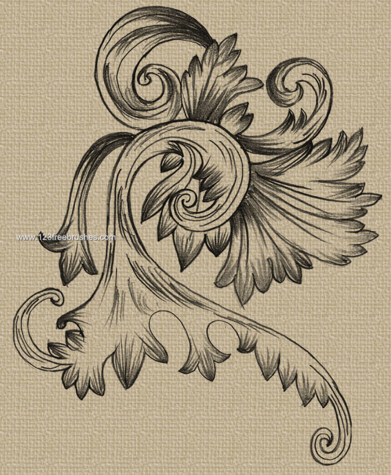 Hand Drawn Swirl Ornament Vector and Brushes