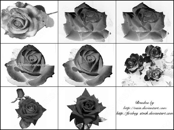 Beautiful Rose Flower Photoshop Brushes