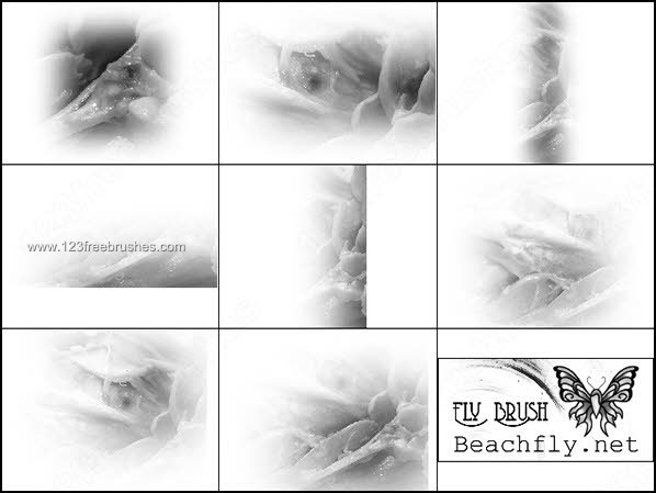 Abstract Brushes Download