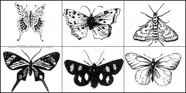 Free Butterfly Photoshop Brushes