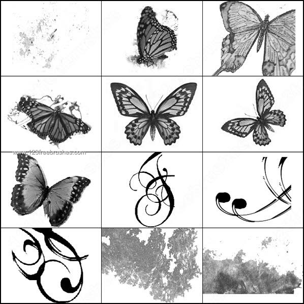 Butterflies – Swirls and Dirty Brushes