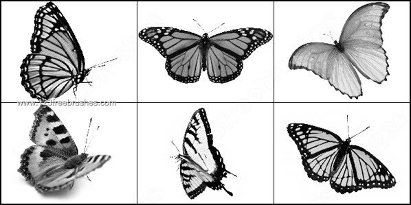 Butterfly Free Brushes