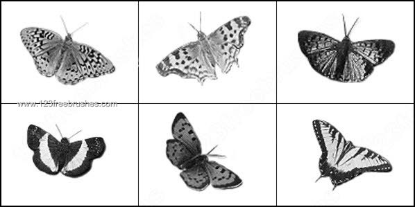 Photoshop Butterfly Brushes