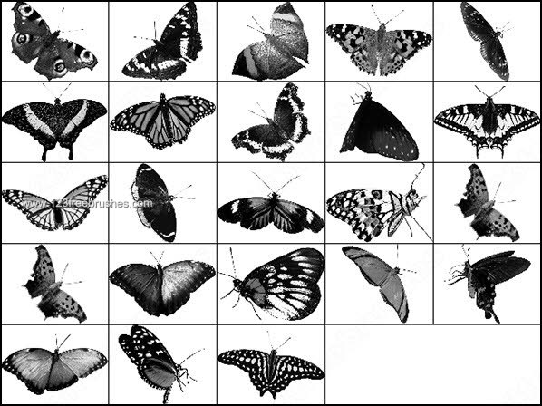Butterfly Photoshop Brushes Pack Free