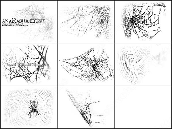 Free Spiders Web Brushes for Photoshop 7