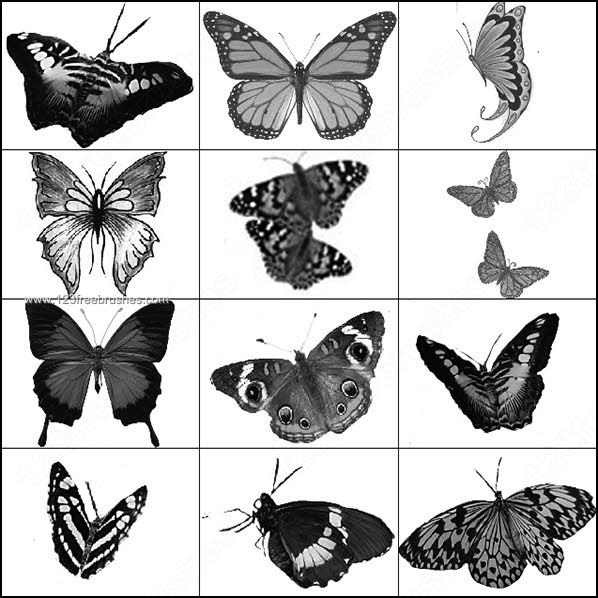 Free Photoshop Butterfly Brushes