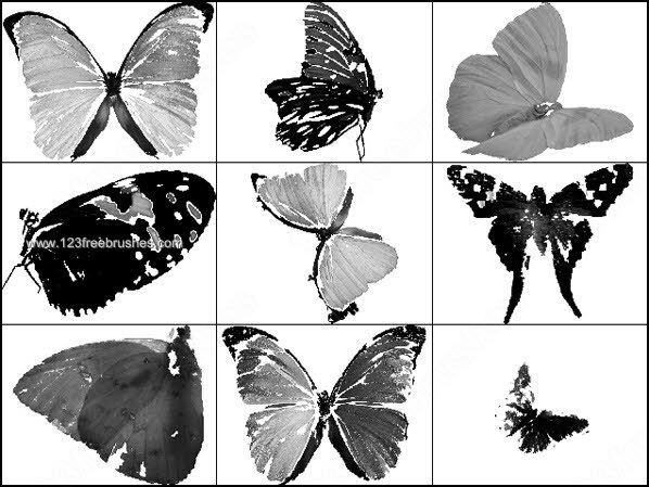 Butterflies Brushes for Photoshop