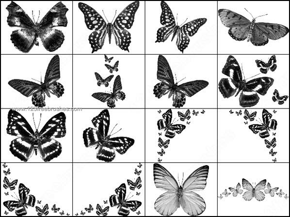 Photoshop Brushes Butterfly Free Download