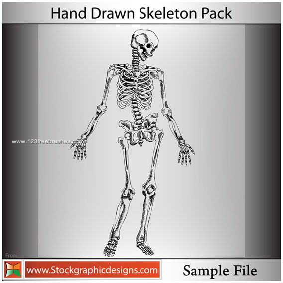 Hand Drawn Skeleton Photoshop Brushes Free