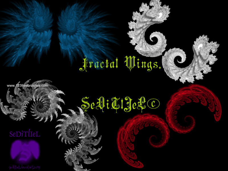 Fractal Wings
