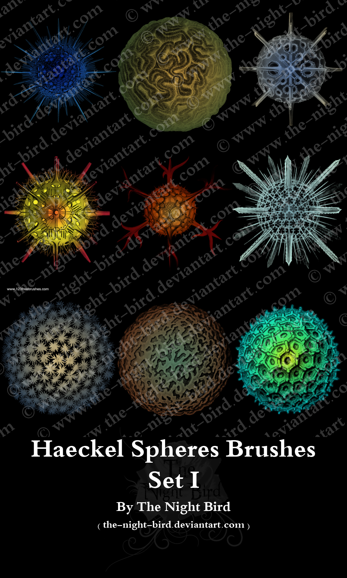 Haeckel Spheres