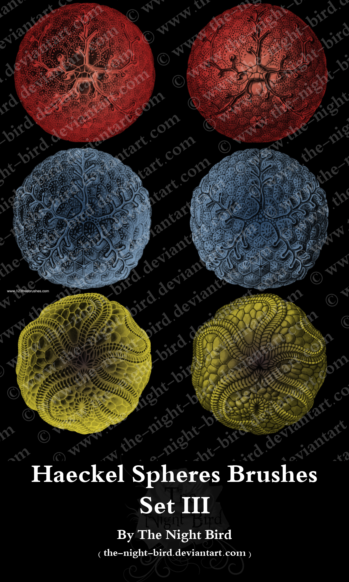 Haeckel Spheres