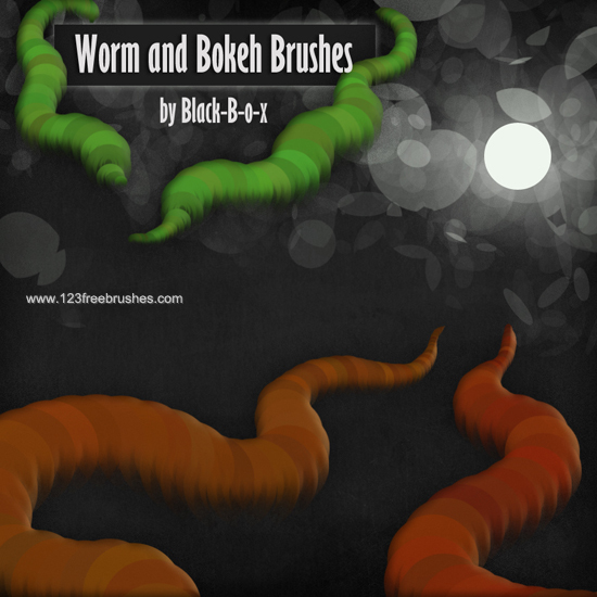 Worm And Bokeh