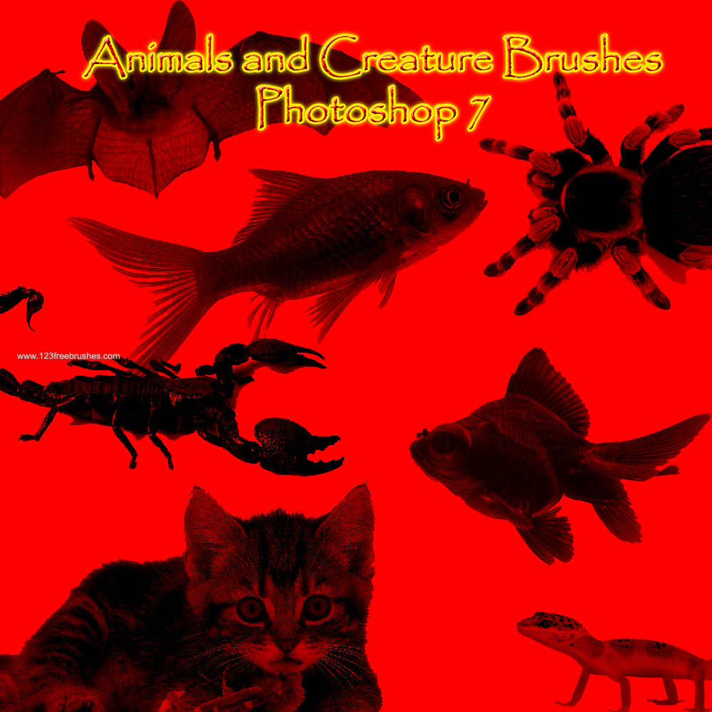 Animal and Creature