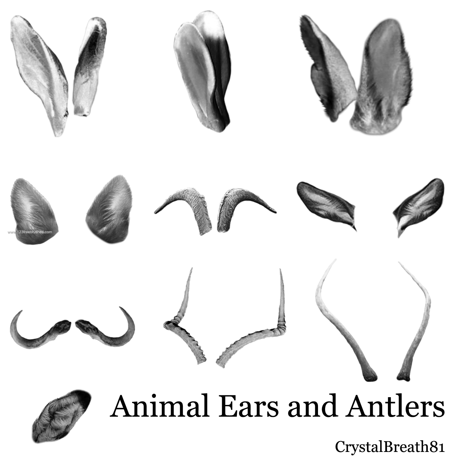 Animal Ears and Antlers | Free Adobe Photoshop Cs5 Brushes | 123Freebrushes
