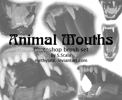 Animal Mouths Animal Mouths