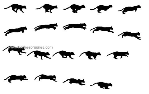 Cat Action Silhouettes