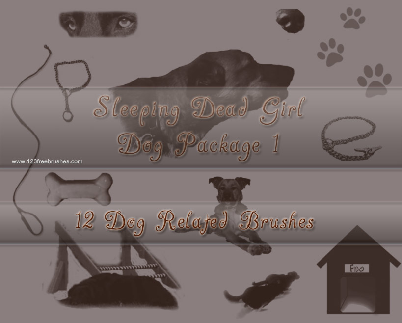 Dog Accessories Pack