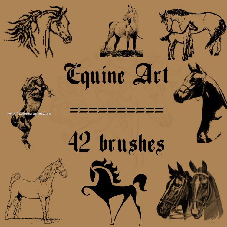 Equine Horse