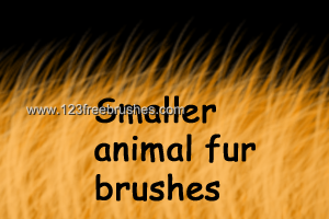 Fur