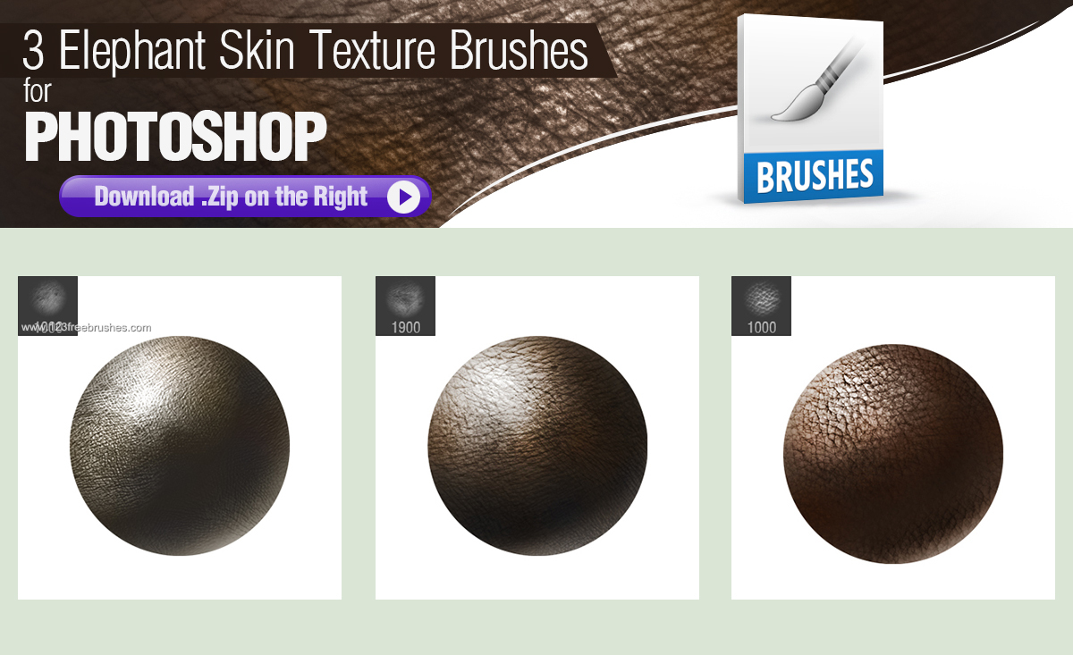 Painting Elephant Skin | Photoshop Create Brush | 123Freebrushes