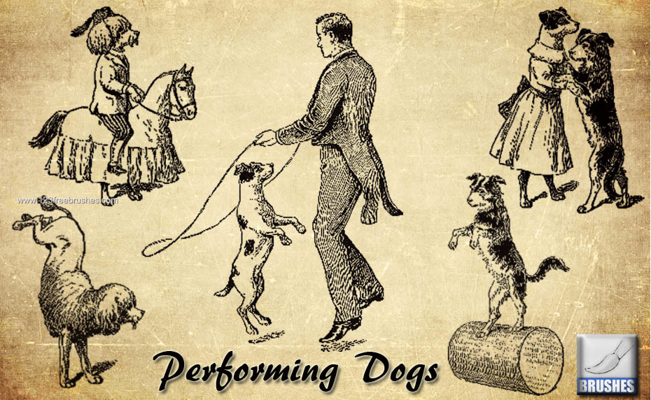 Performing Dogs