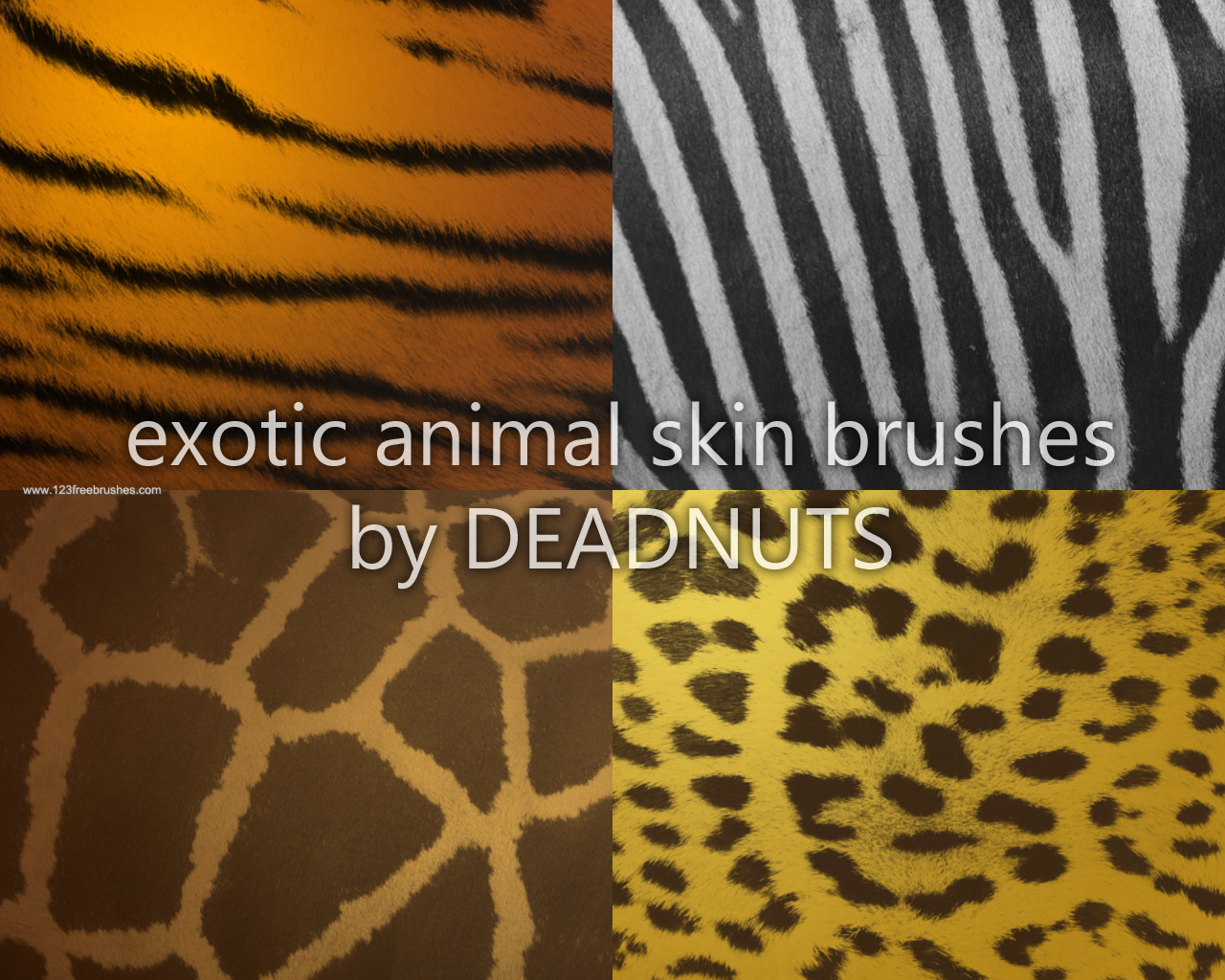 Tiger – Giraffe – Zebra Animals Print