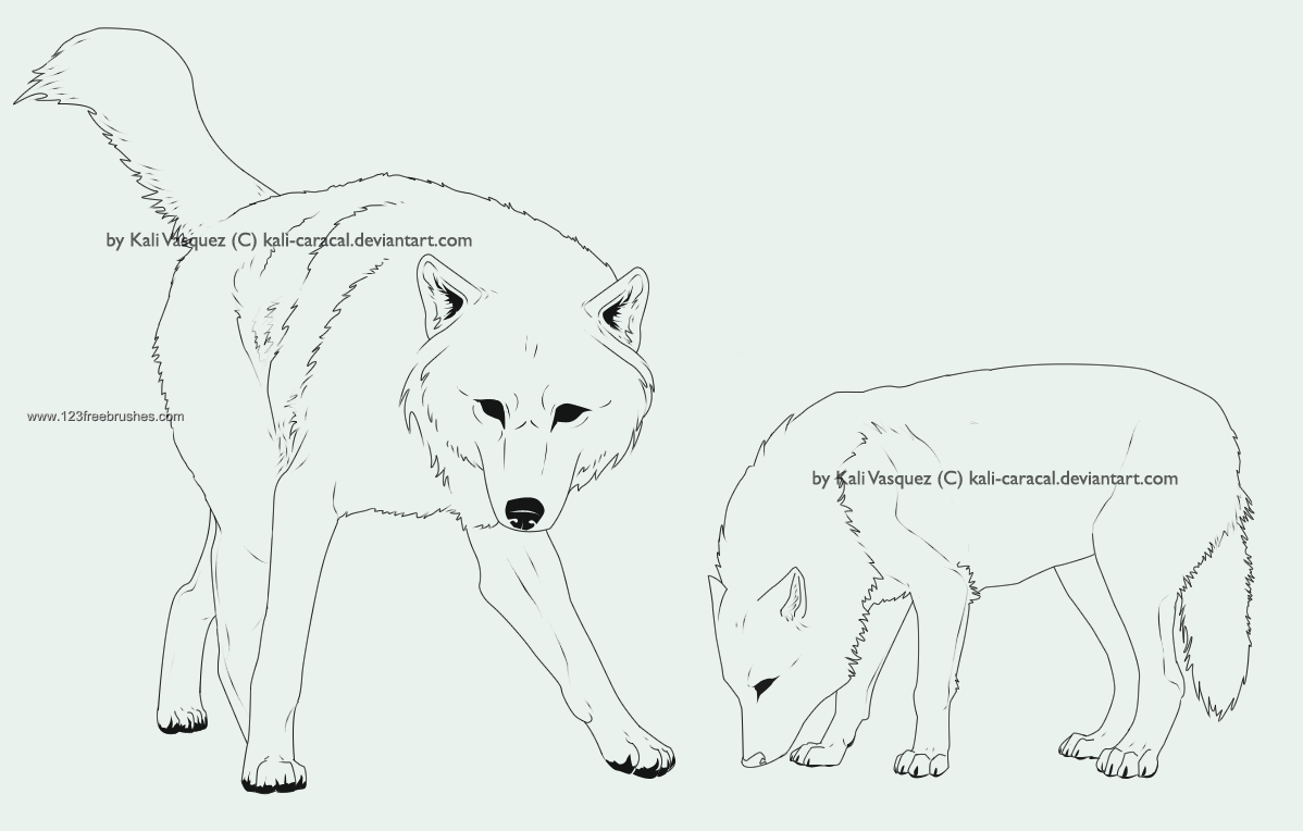 Wolf Line Arts