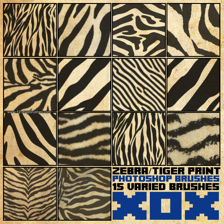 Zebra and Tiger Print