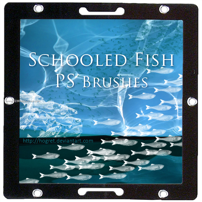 Schooled Fish