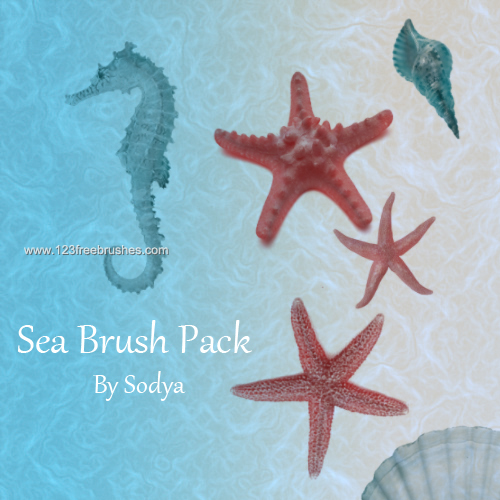 Sea – Starfish – Seahorse
