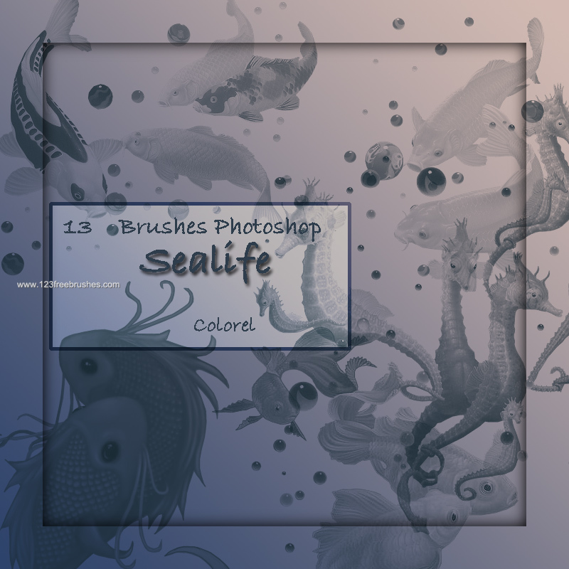 Sea Life – Fish – Seahorse