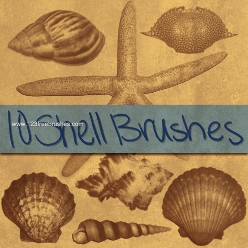 decorative brushes for photoshop cs3 free download