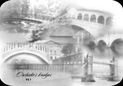 bridge download photoshop