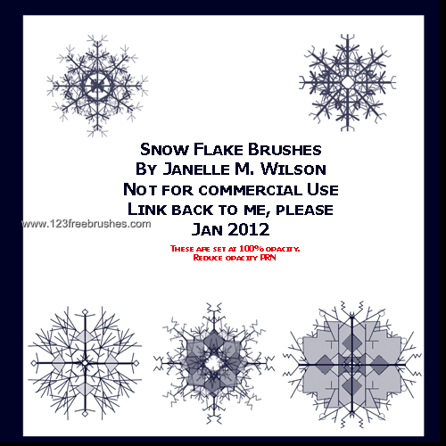 Snowflake Snowflake